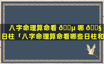 八字命理算命看 🐵 哪 🐧 些日柱「八字命理算命看哪些日柱和时柱」